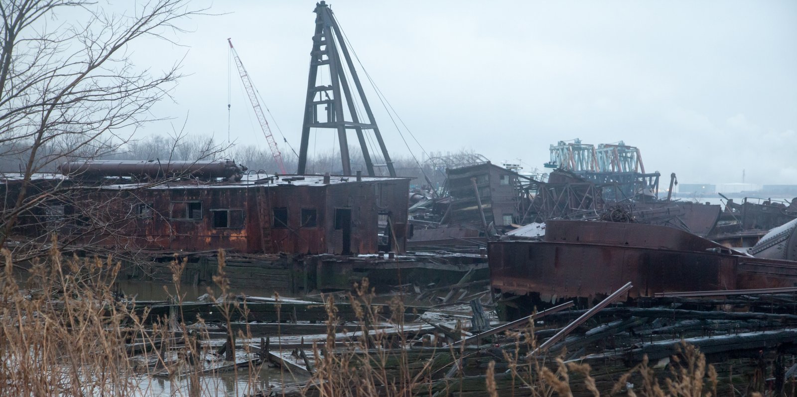 art-of-sandy-mo-staten island 2-121.jpg